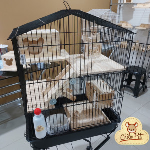 Kit Viveiro Parque Plus